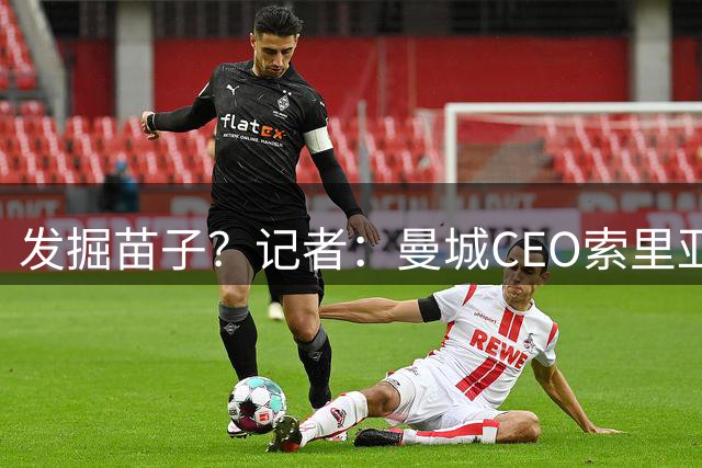 发掘苗子？记者：曼城CEO索里亚诺、总监维亚纳观战新鹏城比赛