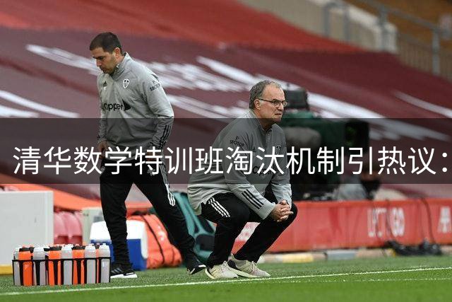 清华数学特训班淘汰机制引热议：28分考生出局背后的人才选拔困境